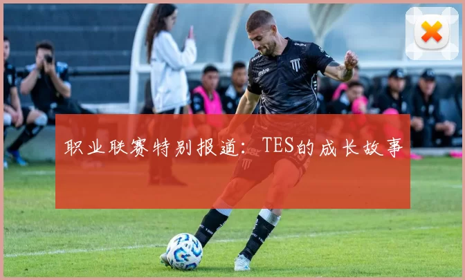 职业联赛特别报道：TES的成长故事