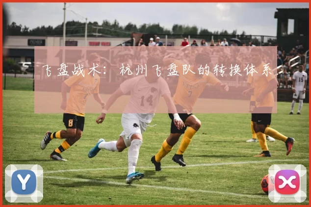 飞盘战术：杭州飞盘队的转换体系